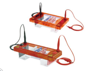 Bể điện di 210x90x90 mm (Biologix – Mỹ)